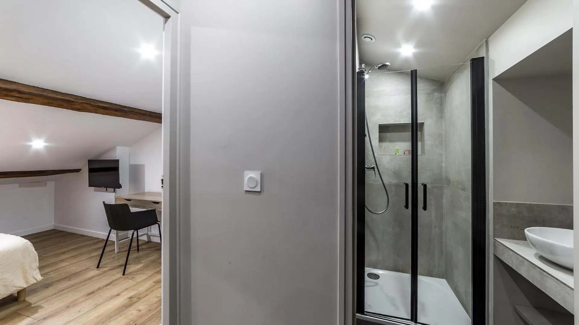Villa Maison Le Gratte Ciel - Seminaire Ou Famille, Salle De Reunion, 8 Chambres Clim, Jardin & Salle De Sport Villeurbanne France
