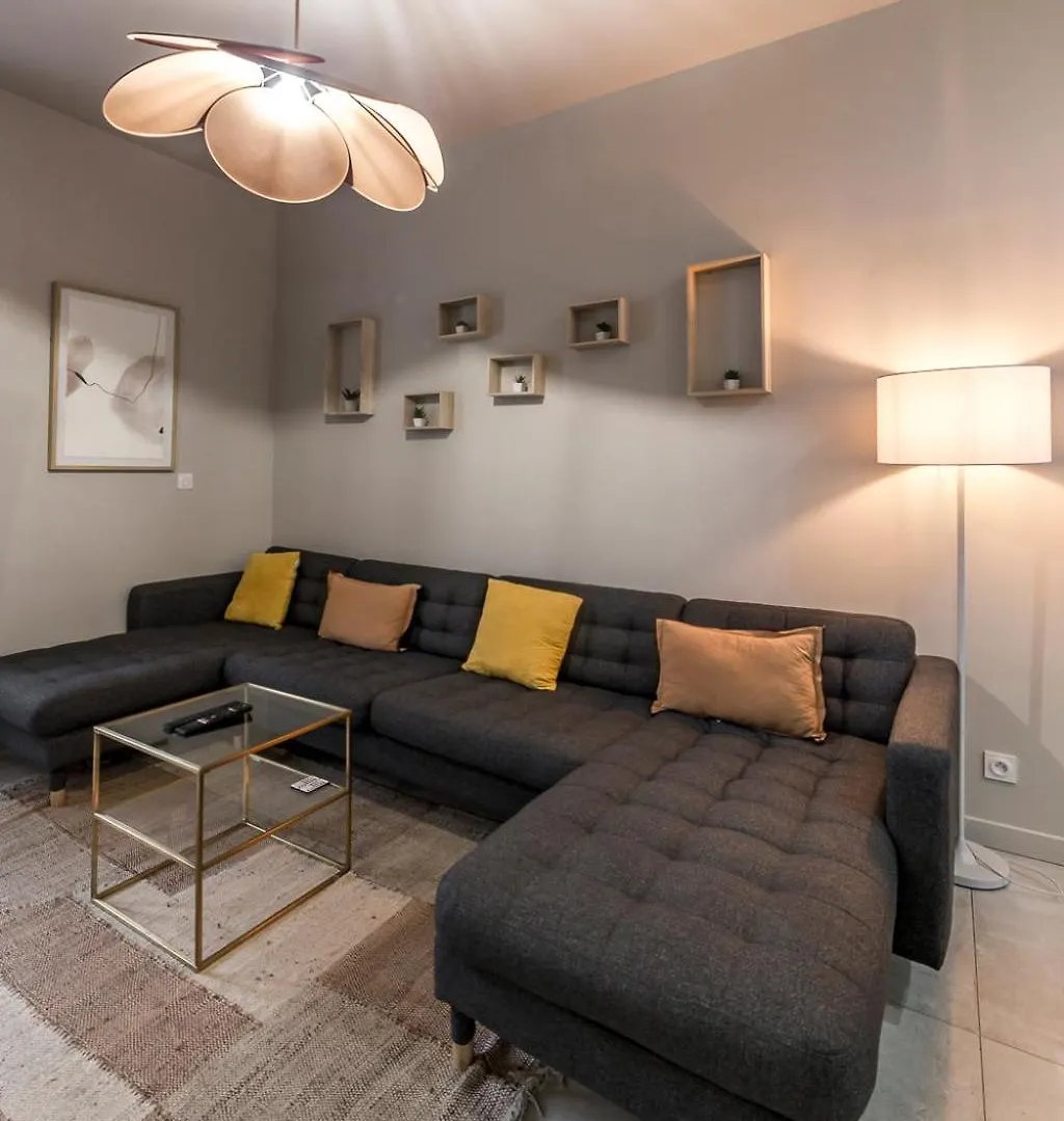 Maison Le Gratte Ciel - Seminaire Ou Famille, Salle De Reunion, 8 Chambres Clim, Jardin & Salle De Sport Villeurbanne France