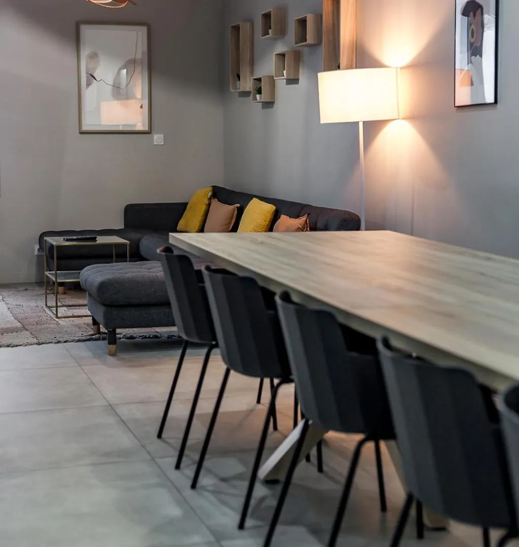 Maison Le Gratte Ciel - Seminaire Ou Famille, Salle De Reunion, 8 Chambres Clim, Jardin & Salle De Sport Villeurbanne